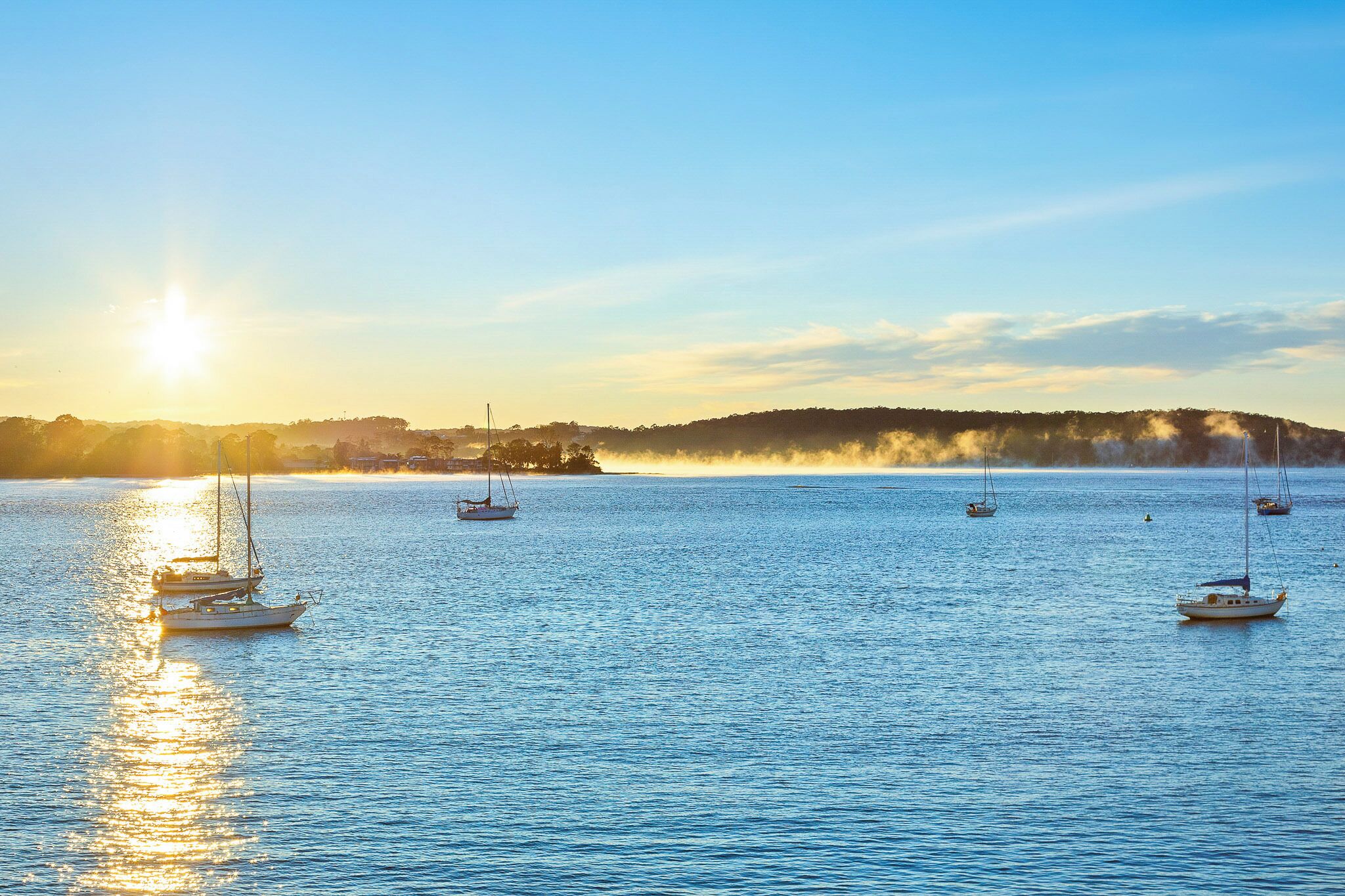 A calm body of water with several sailboats.
