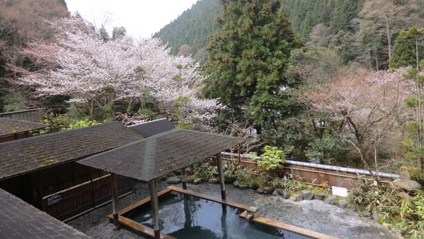 Garden - Kurama Onsen (Kyoto)