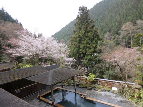Kurama Onsen