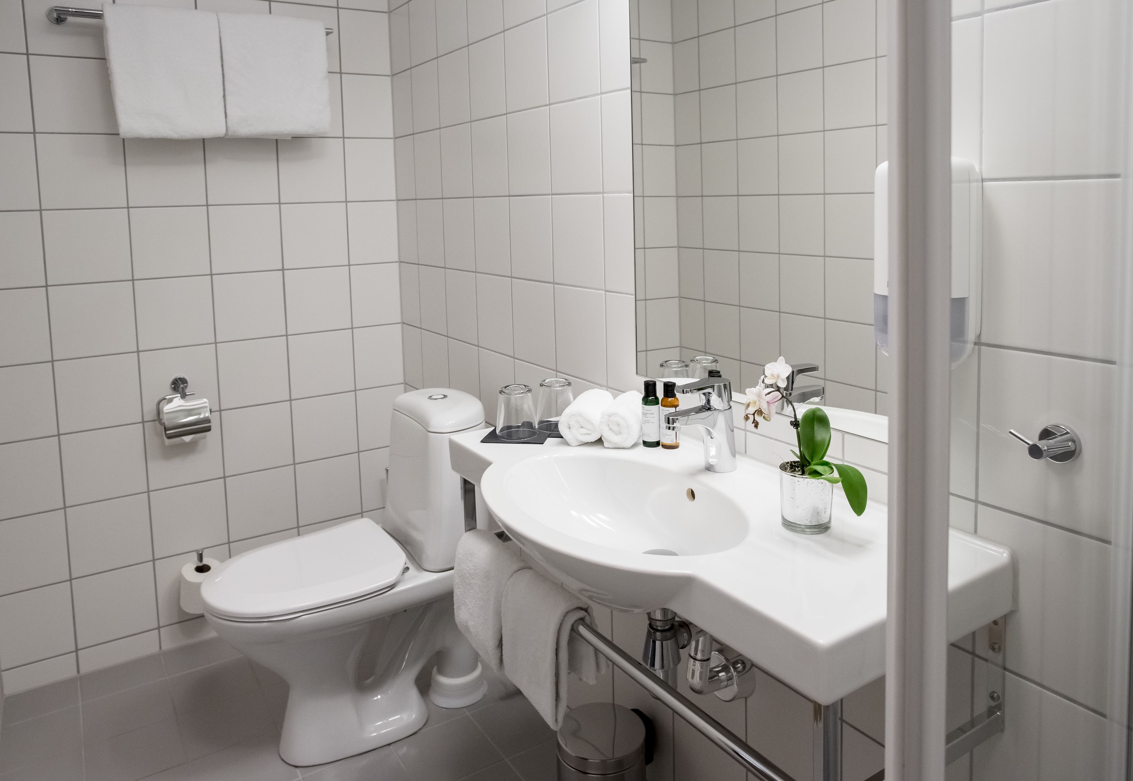 Un baño moderno con inodoro, lavamanos y una pequeña planta en maceta.