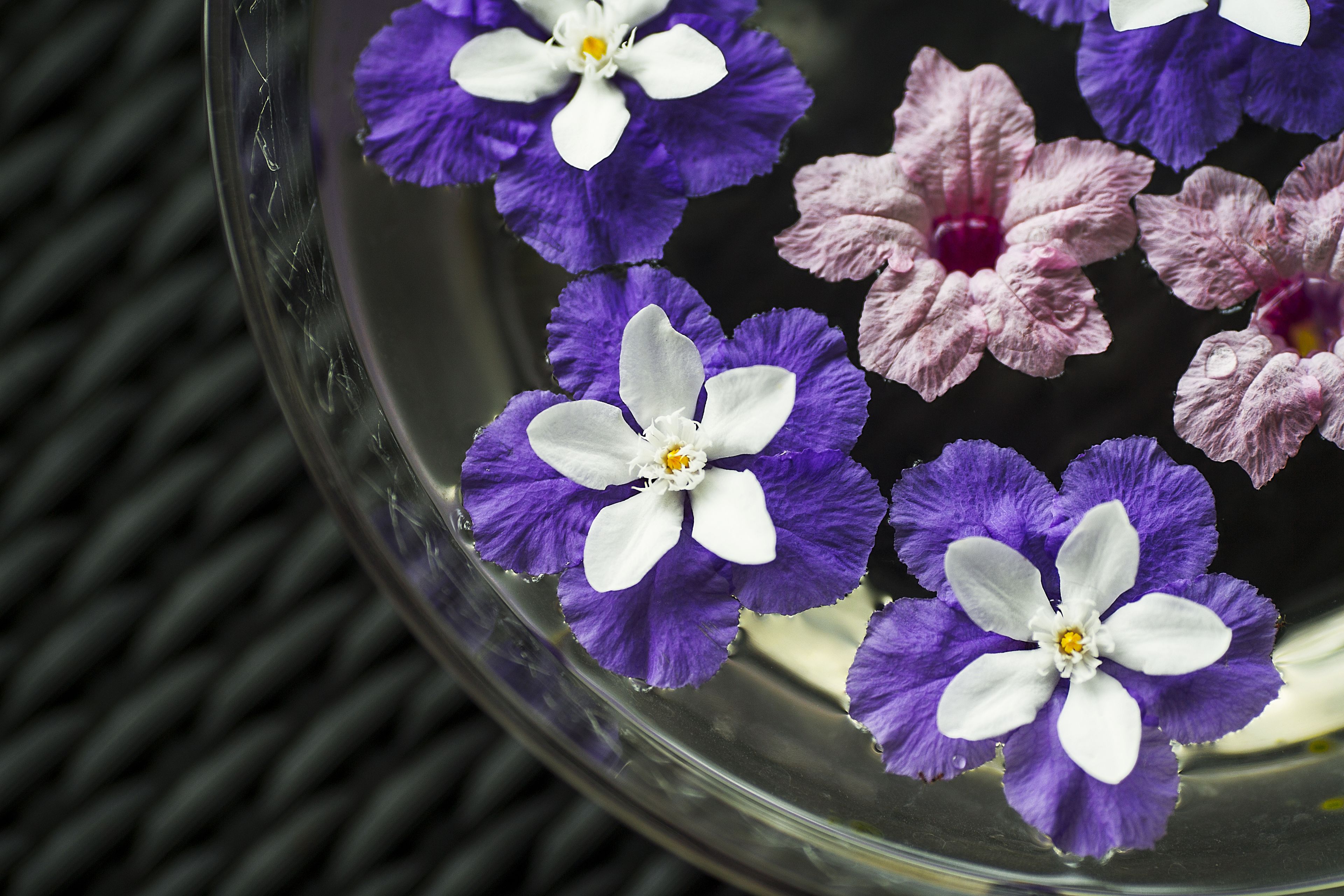 A clear glass bowl containing purple and white flowers.