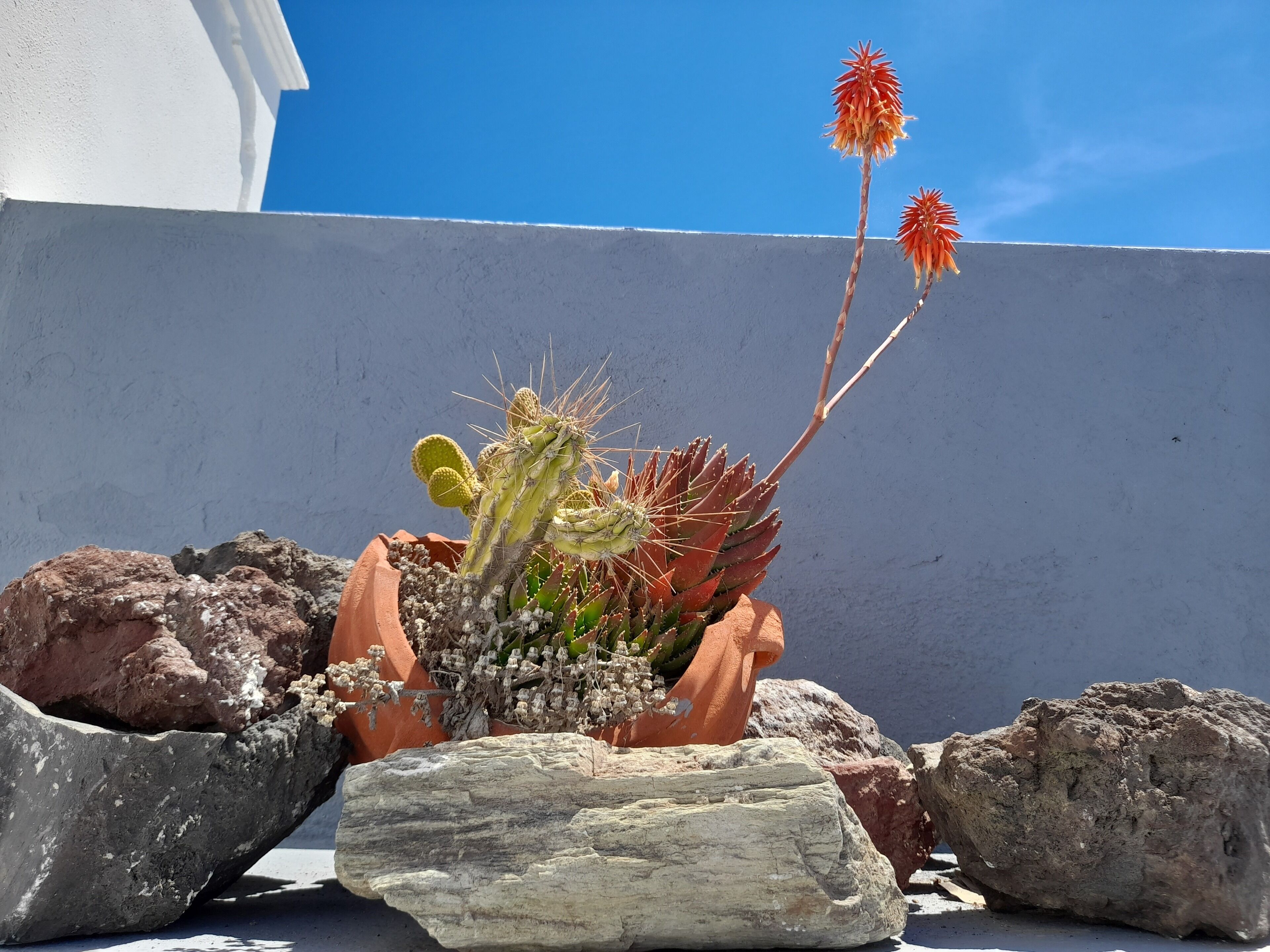 Photo - Grande Murano