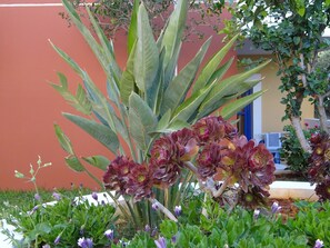 View from property - Astra Village & Suites Crete (Hersonissos)