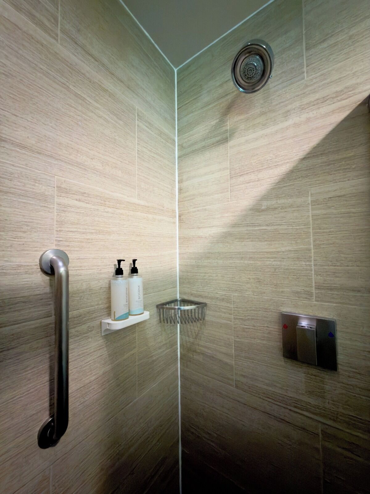 Eine Dusche mit Handlauf, Seifenspender und Duschkopf.