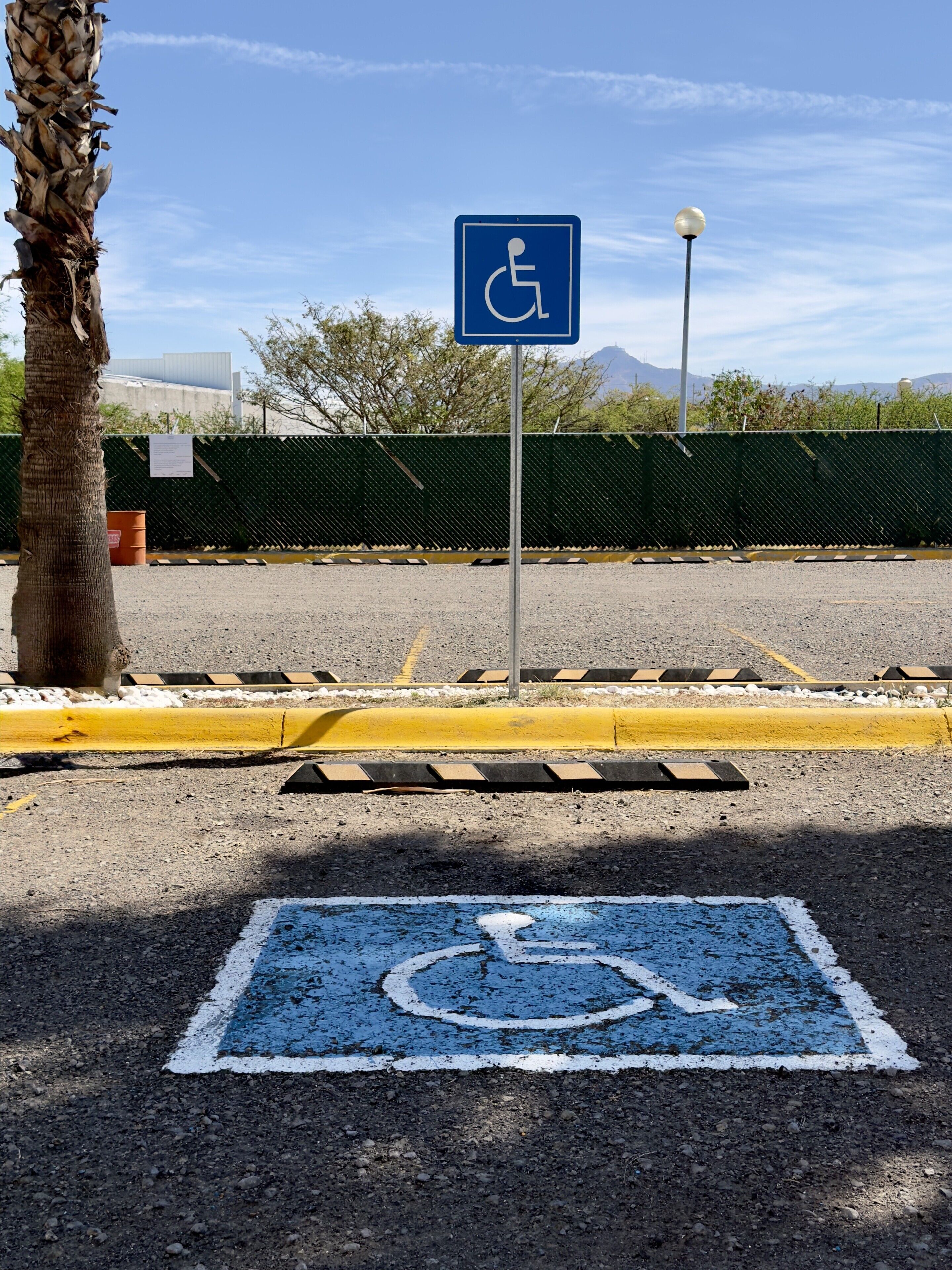 A parking space marked with a wheelchair accessibility sign, surrounded by a yellow curb and a palm tree.