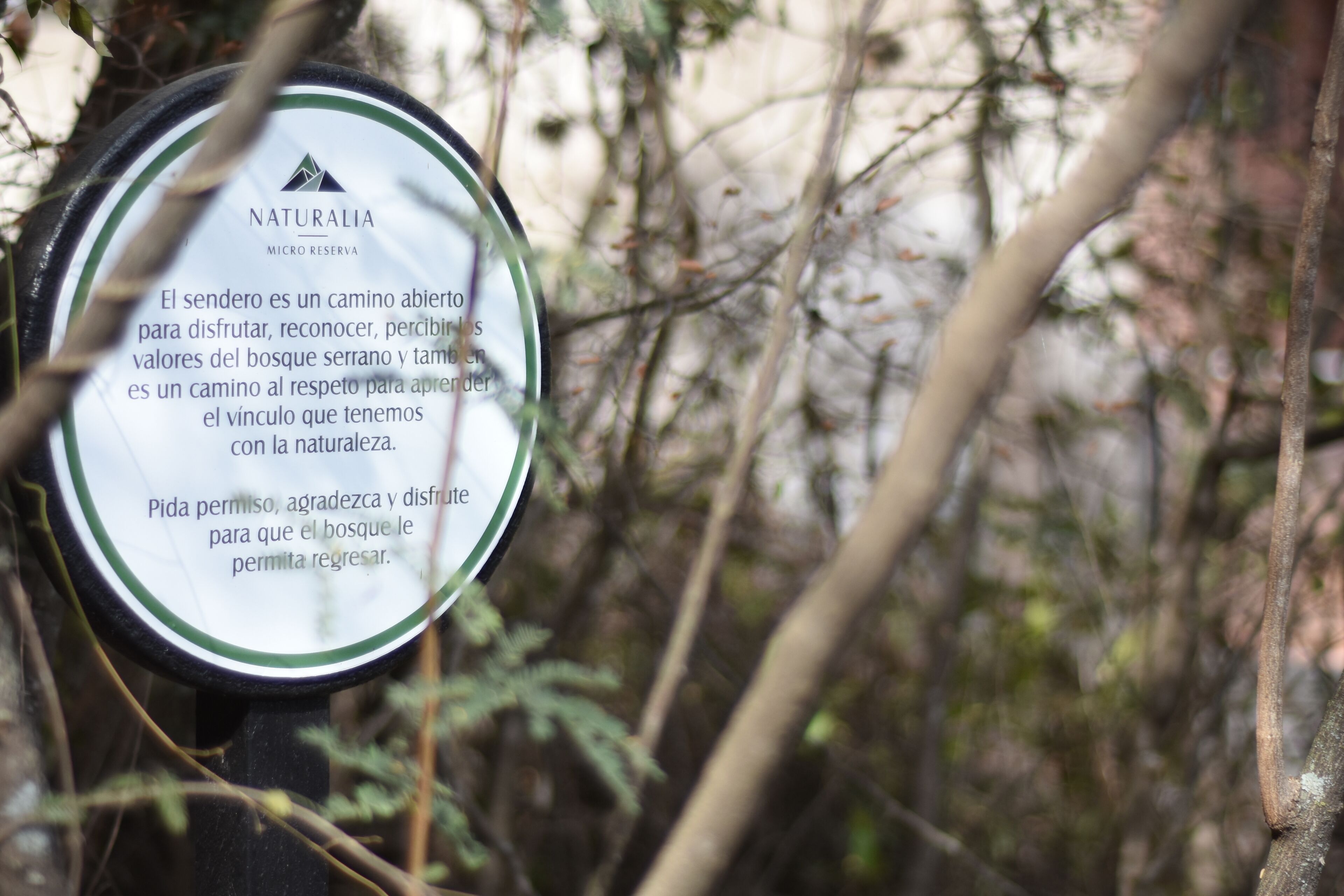 Foto - Pinares Panorama Suites, Spa & Convention Center