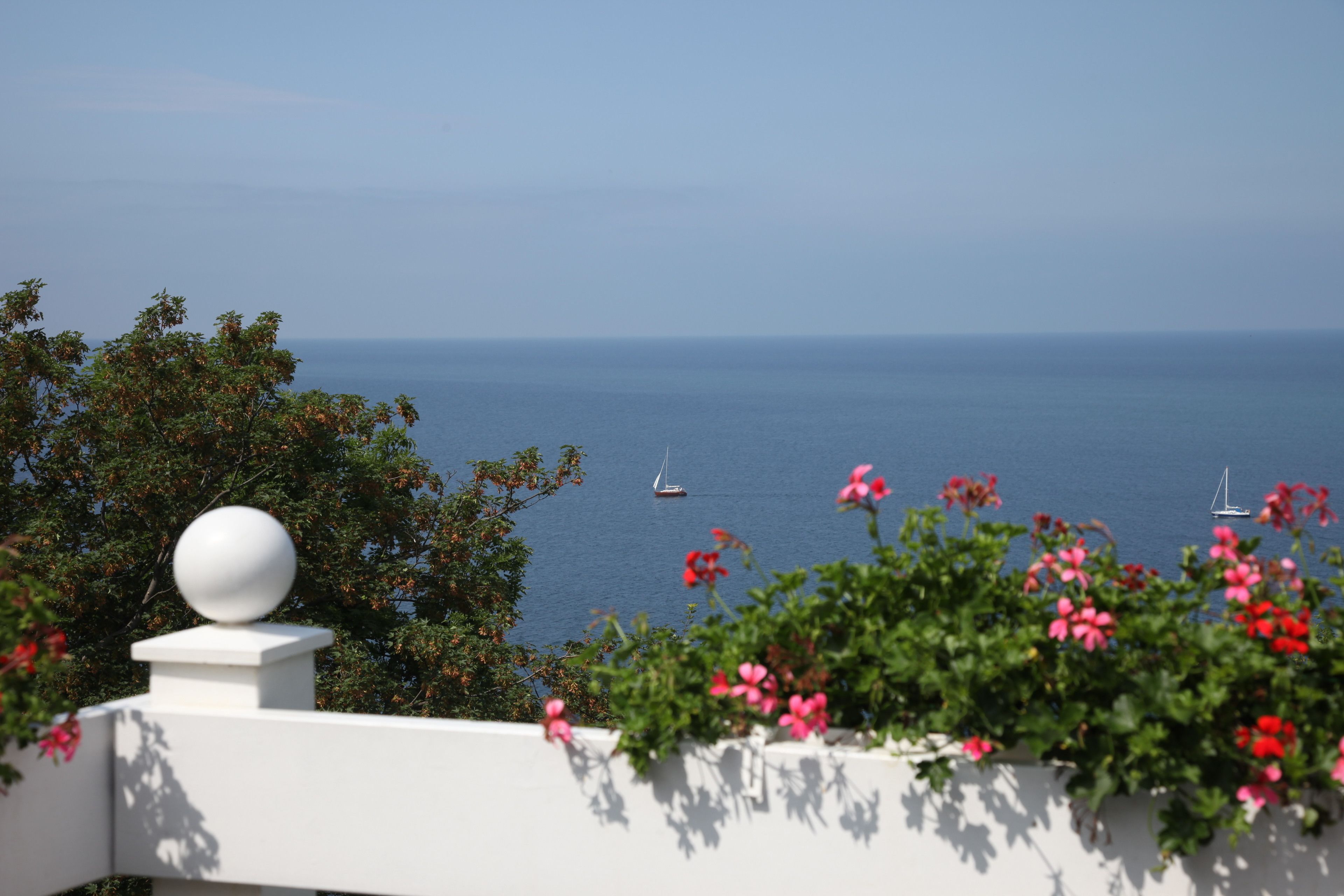 Un balcone con vista sul mare, caratterizzato da una ringhiera bianca e fiori rosa.