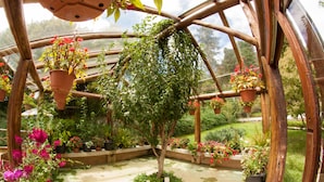 A greenhouse with a central tree surrounded by potted plants and flowers.