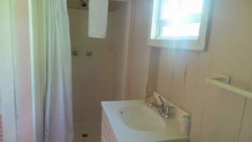 A bathroom with a shower, a sink, and a window.