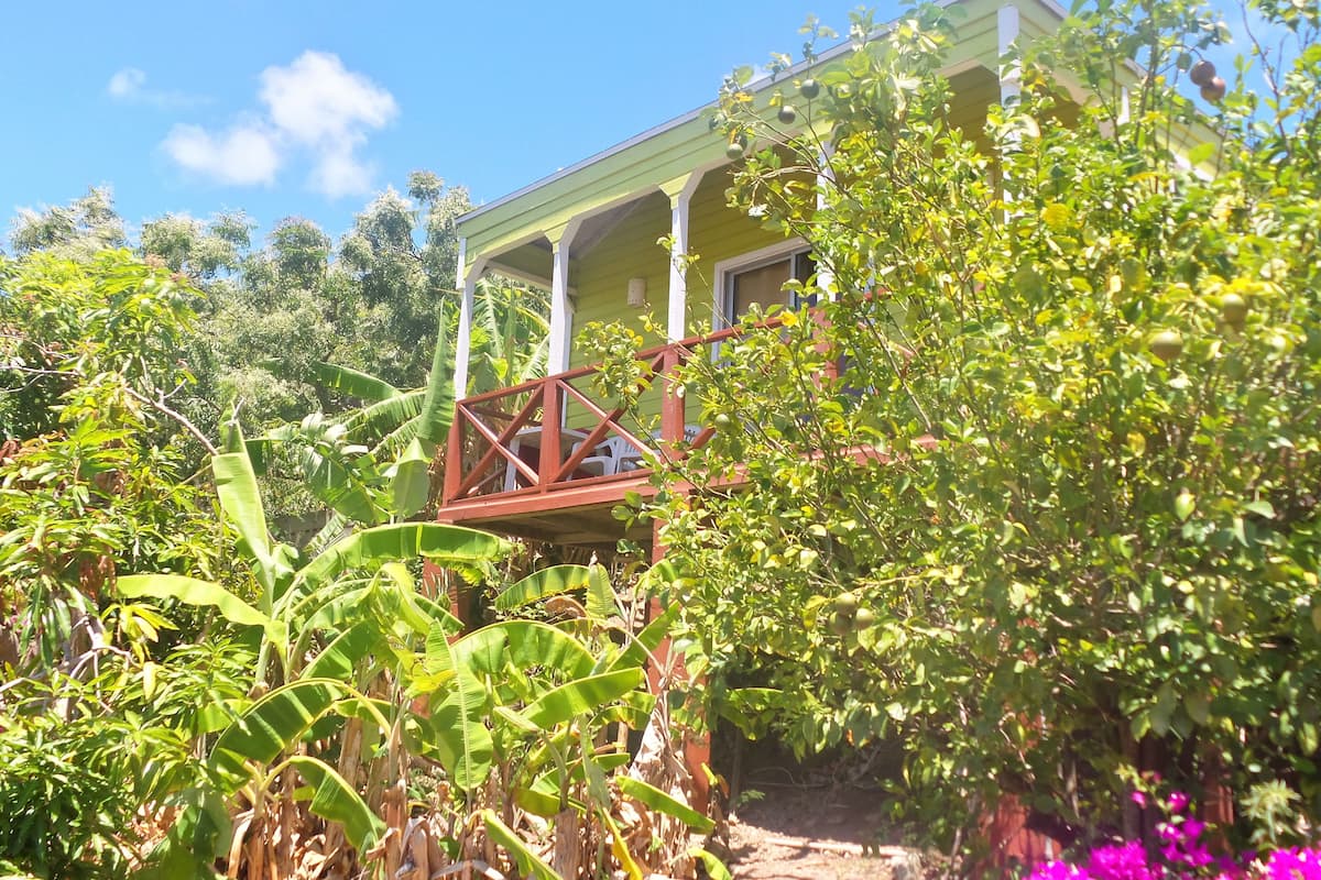 A house with a porch, surrounded by lush greenery and banana plants.