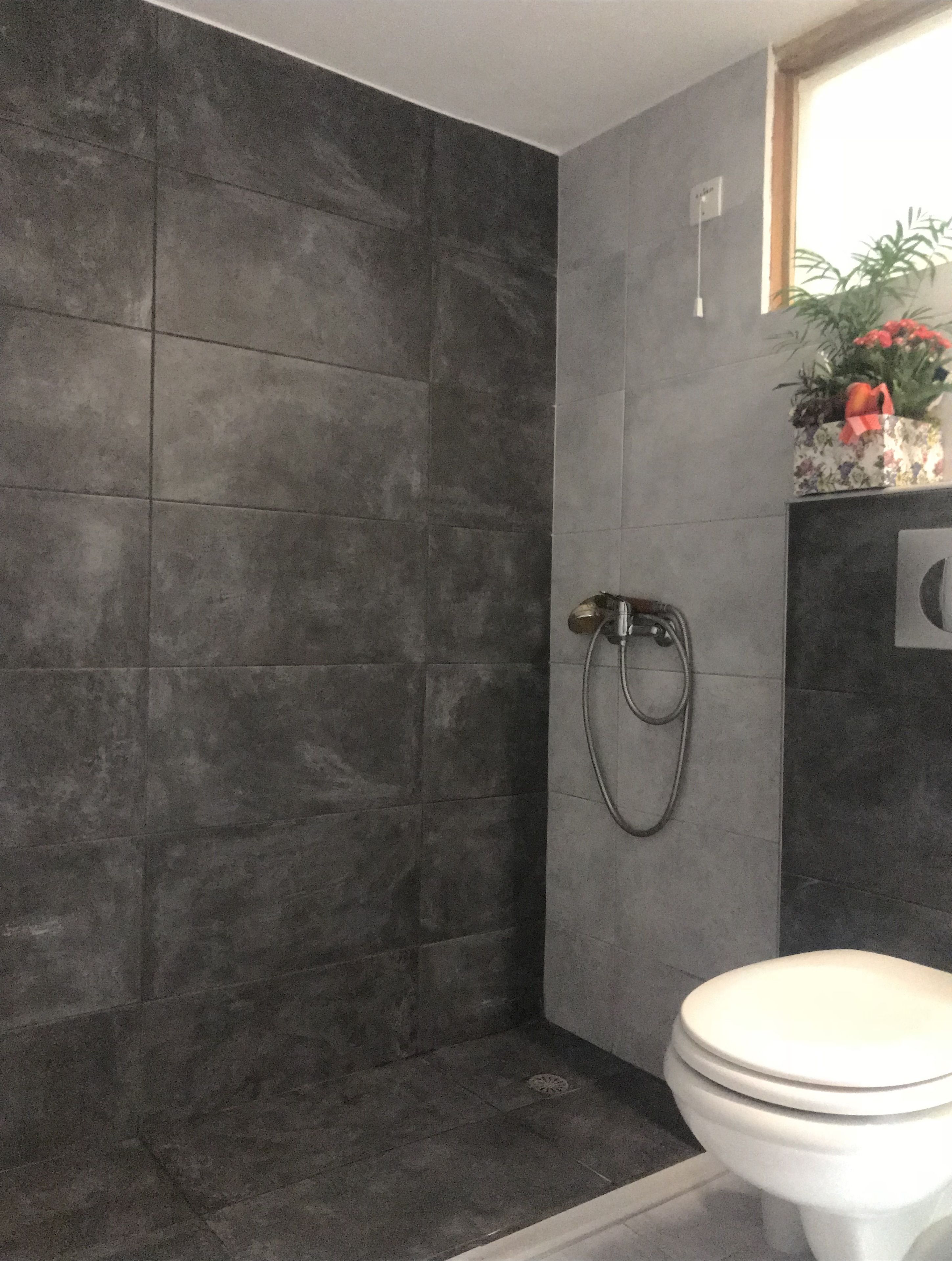 Un baño con paredes de azulejos oscuros, una ducha con cabezal de ducha manual y un inodoro.