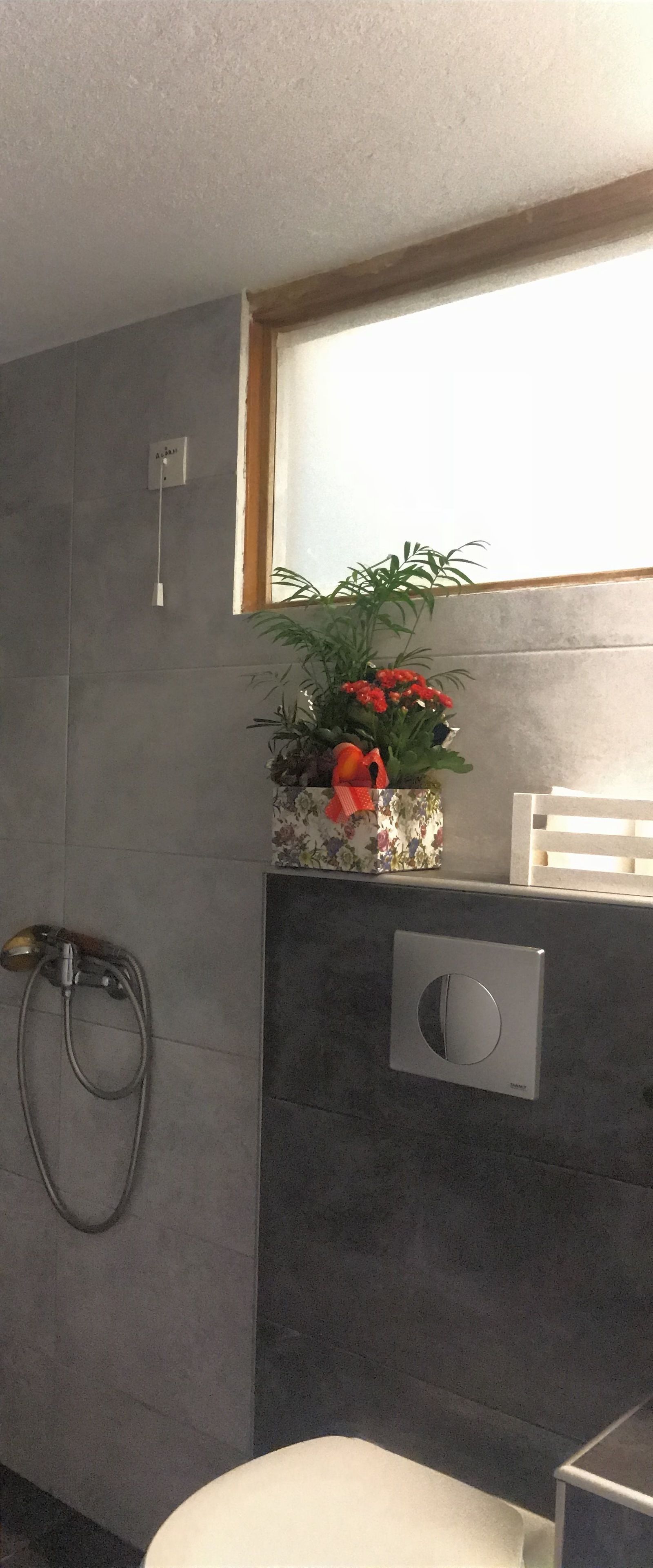 Ein Badezimmer mit Dusche, Toilette, Fenster und einer Topfpflanze.