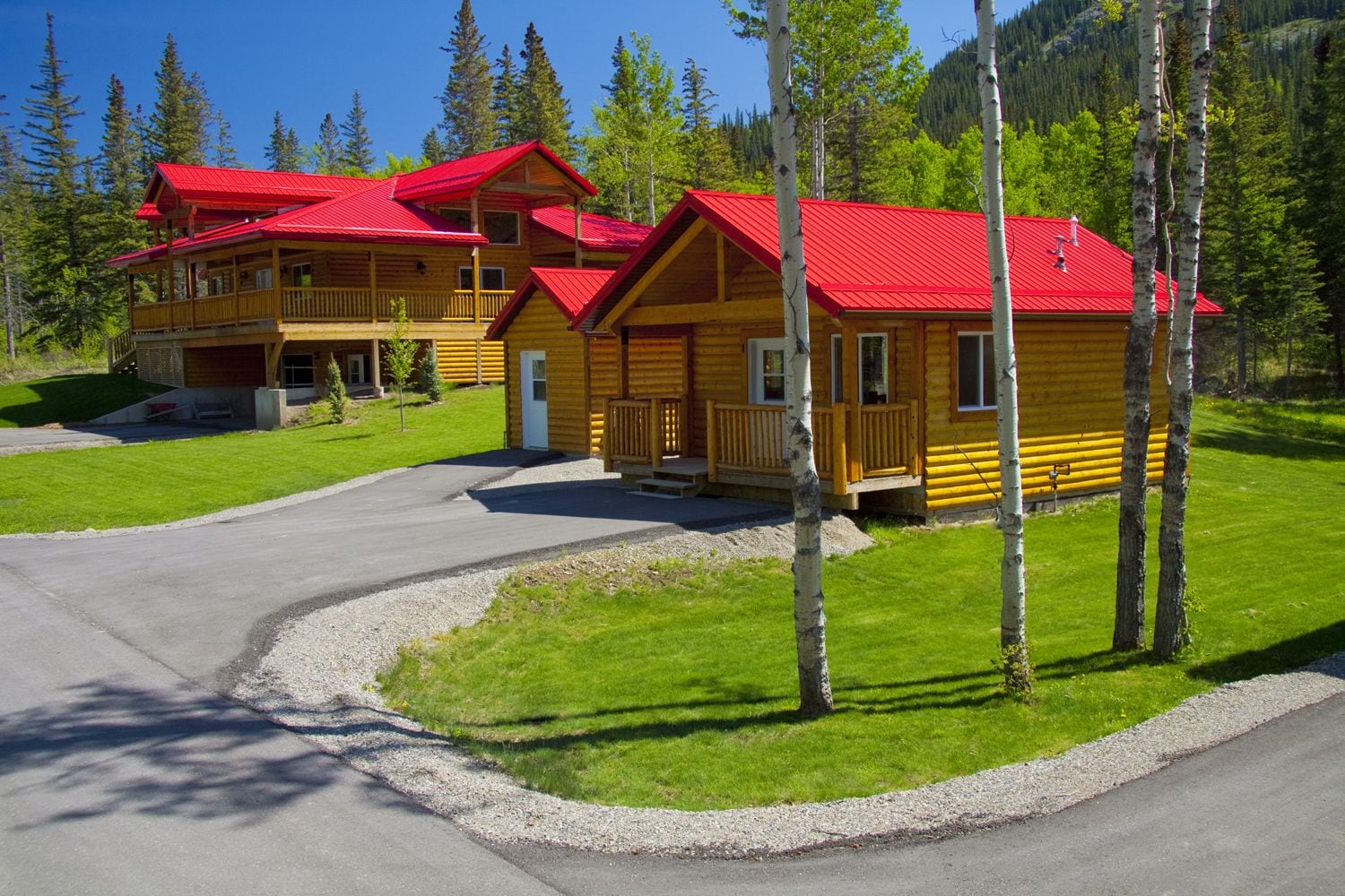A lodge with multiple cabins, each featuring a red roof and wooden construction, surrounded by a well-maintained lawn and birch trees.