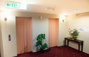 Un pasillo con dos ascensores, una planta en maceta, una mesa con un arreglo floral y un cartel que indica 'No se permiten mascotas'.