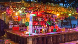 Un espace bar avec un comptoir en bois, des tabourets et des étagères remplies de bouteilles.