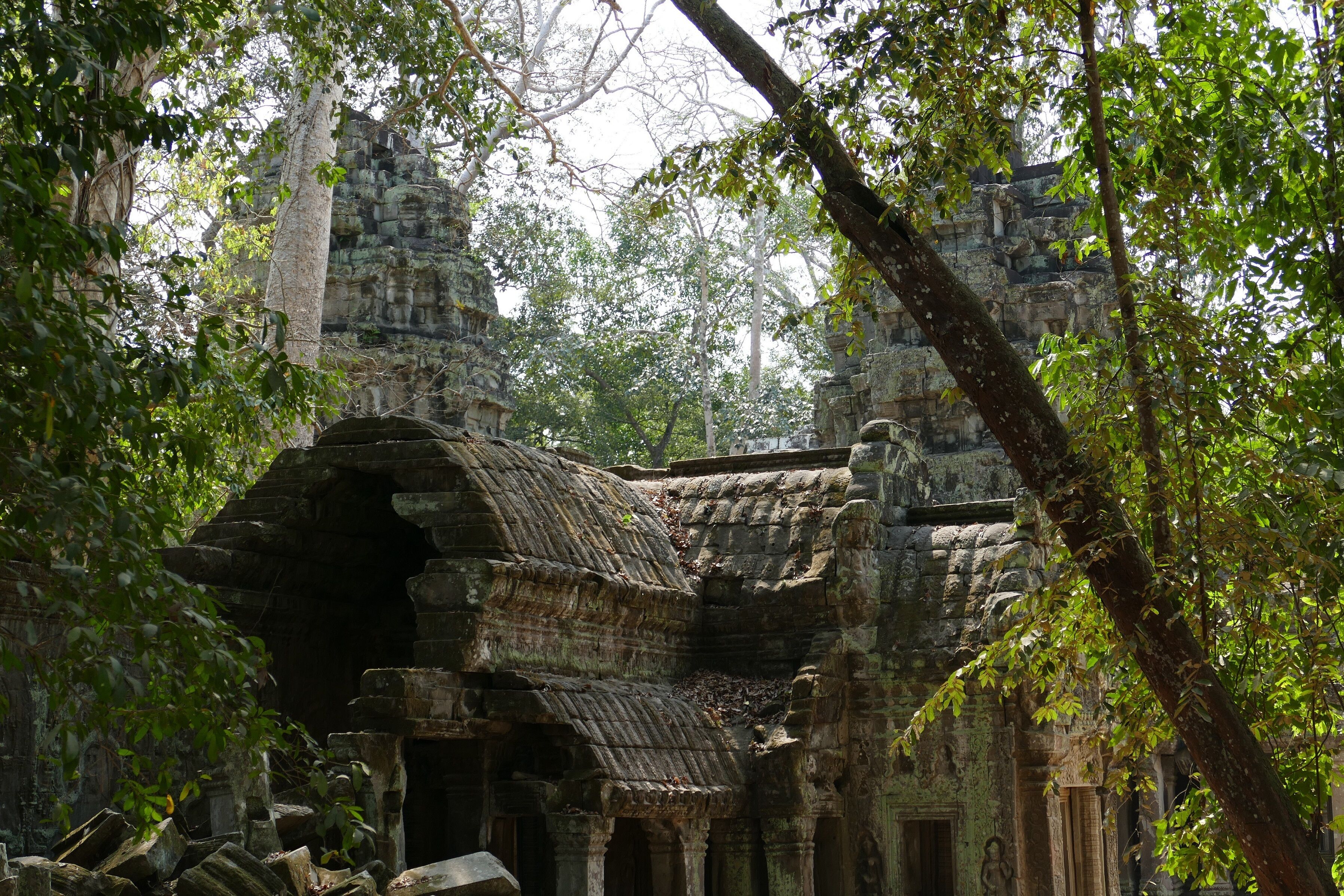 An ancient stone structure with intricate carvings, partially obscured by lush green foliage.