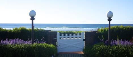 A paved pathway leading to a white gate with a view of the ocean.