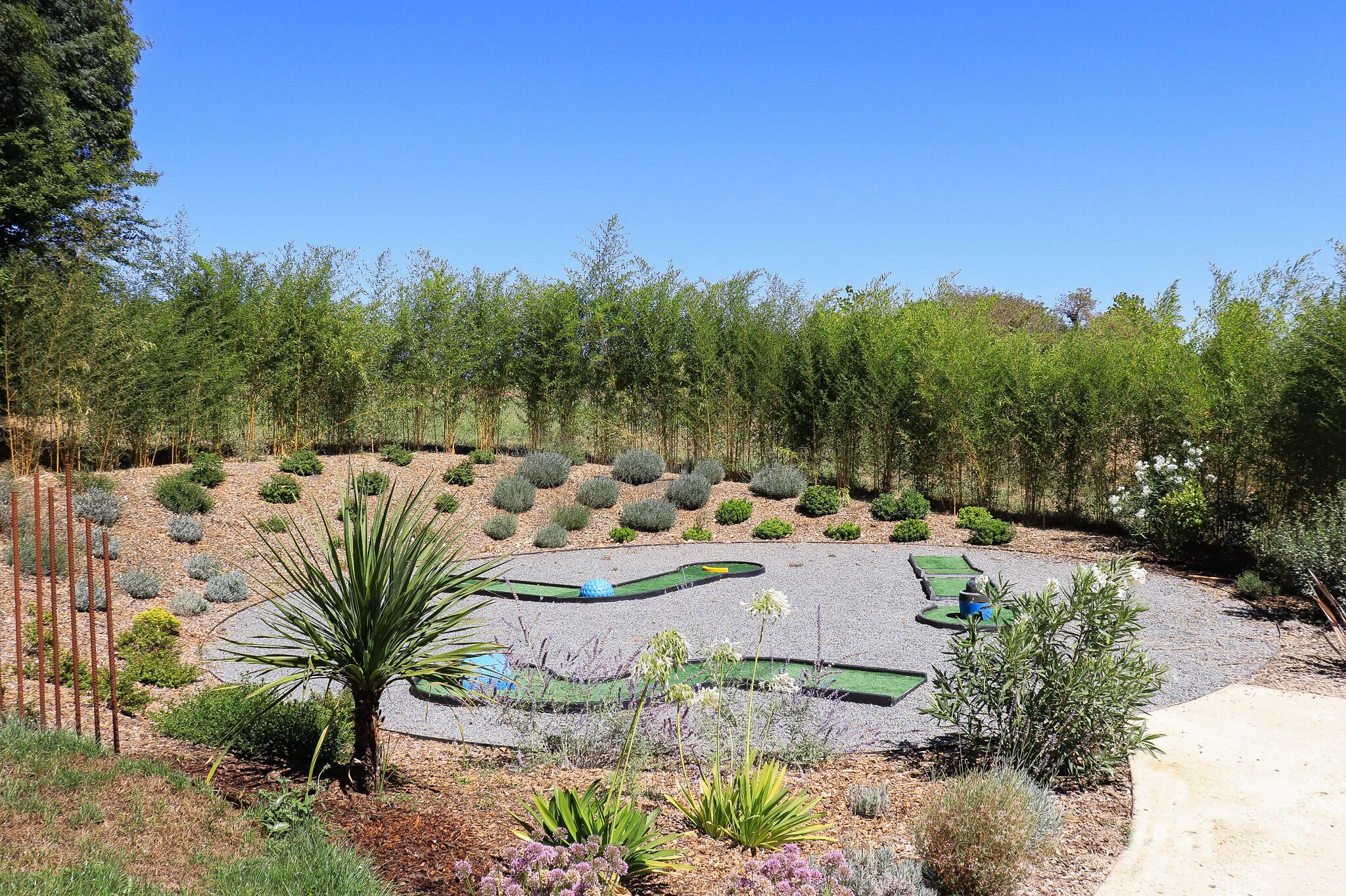 A landscaped garden with a golf putting green, surrounded by various shrubs and trees.