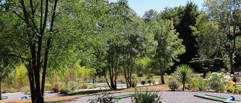 Un parque con diversos árboles, un sendero de grava y un pequeño estanque.