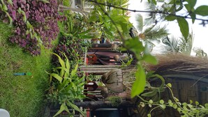 Jardín