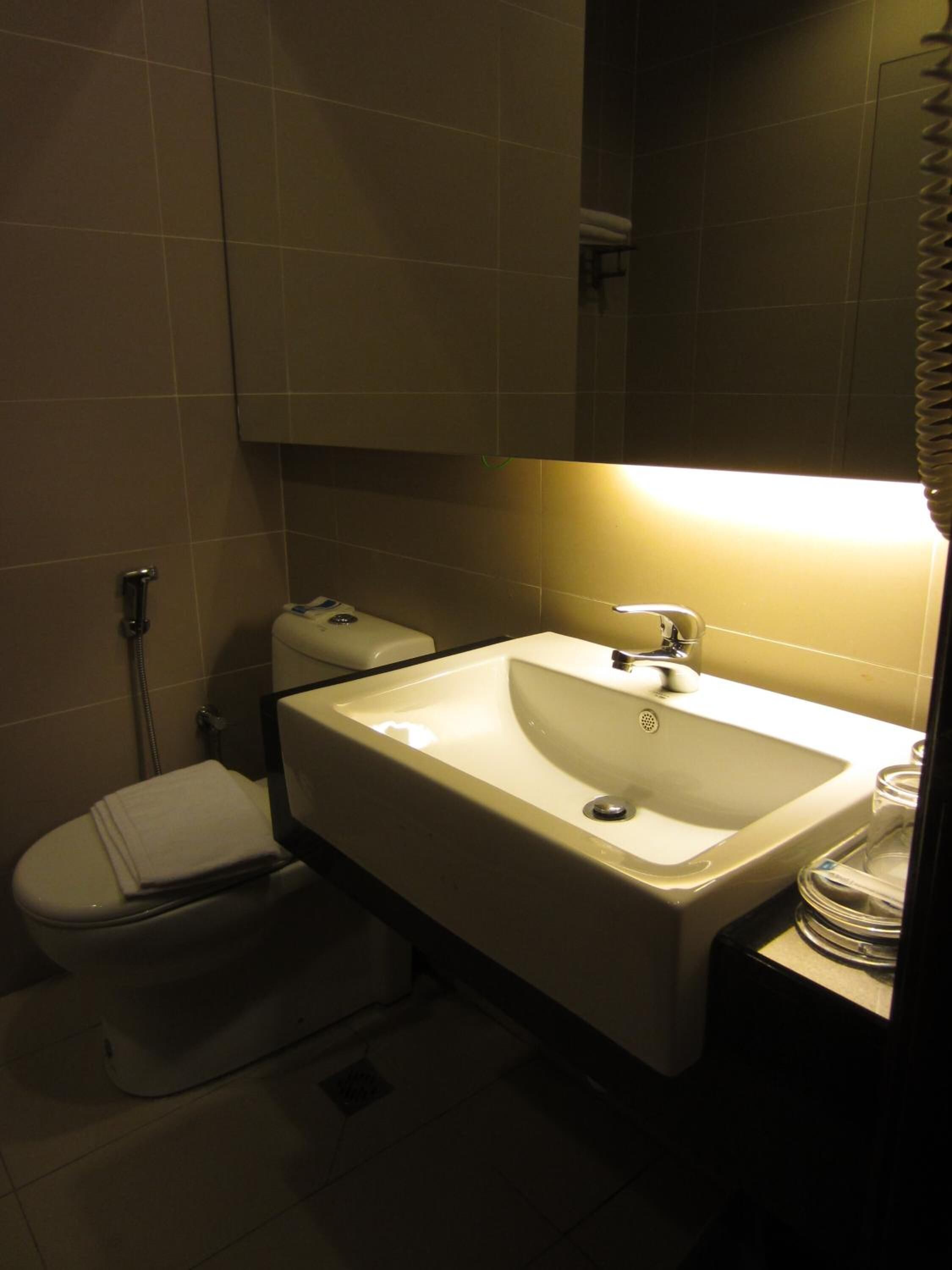 A small, dimly lit bathroom with a toilet, sink, and mirror.