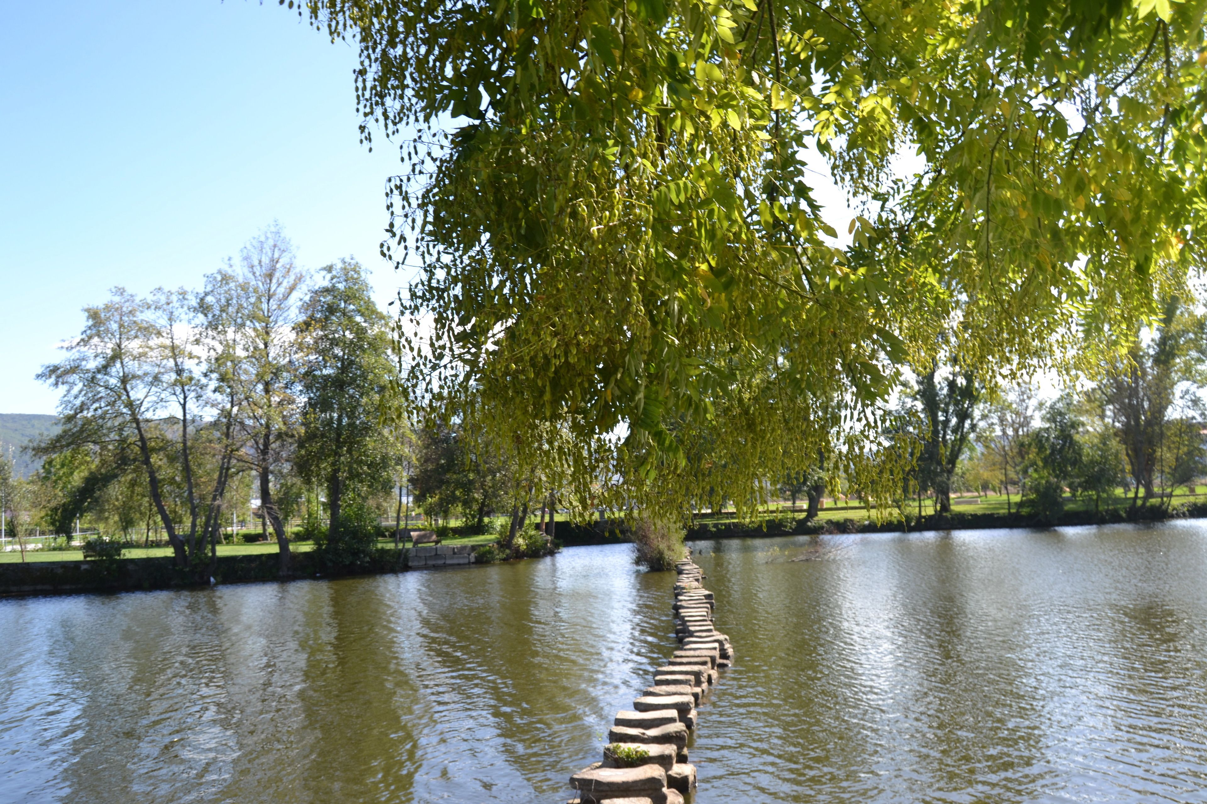 Foto - Hotel 4 Estacoes