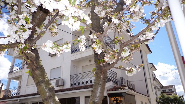 Un hotel con balcón, un cartel que indica que es hotel y un árbol con flores blancas al frente.