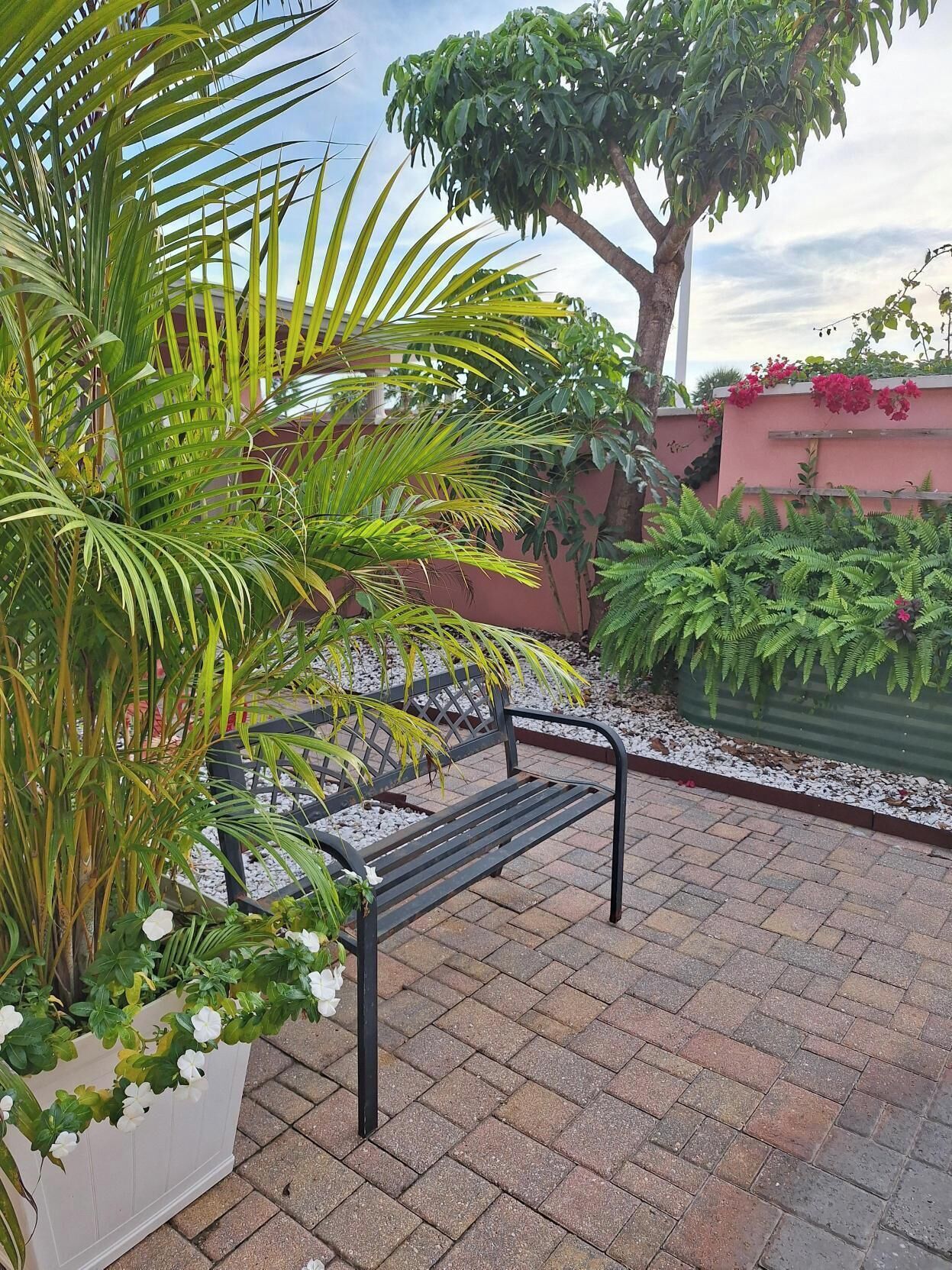 A patio area with a bench, potted plants, and a tree.