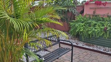 Un patio con un banco, plantas en macetas y un árbol.