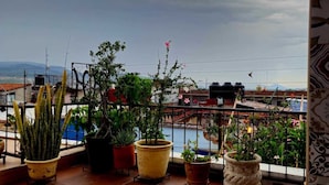 A balcony with potted plants, a view of a cityscape, and a distant mountain range. - Hotel Dos Lunas - Hostel (Oaxaca)