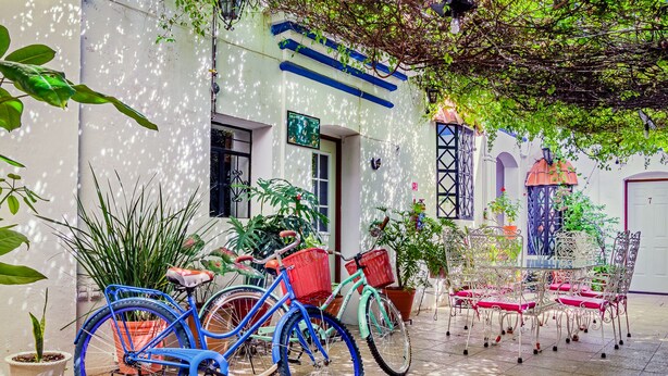 A courtyard with a blue bicycle, potted plants, and a white building with blue trim. - Hotel Dos Lunas - Hostel (Oaxaca)