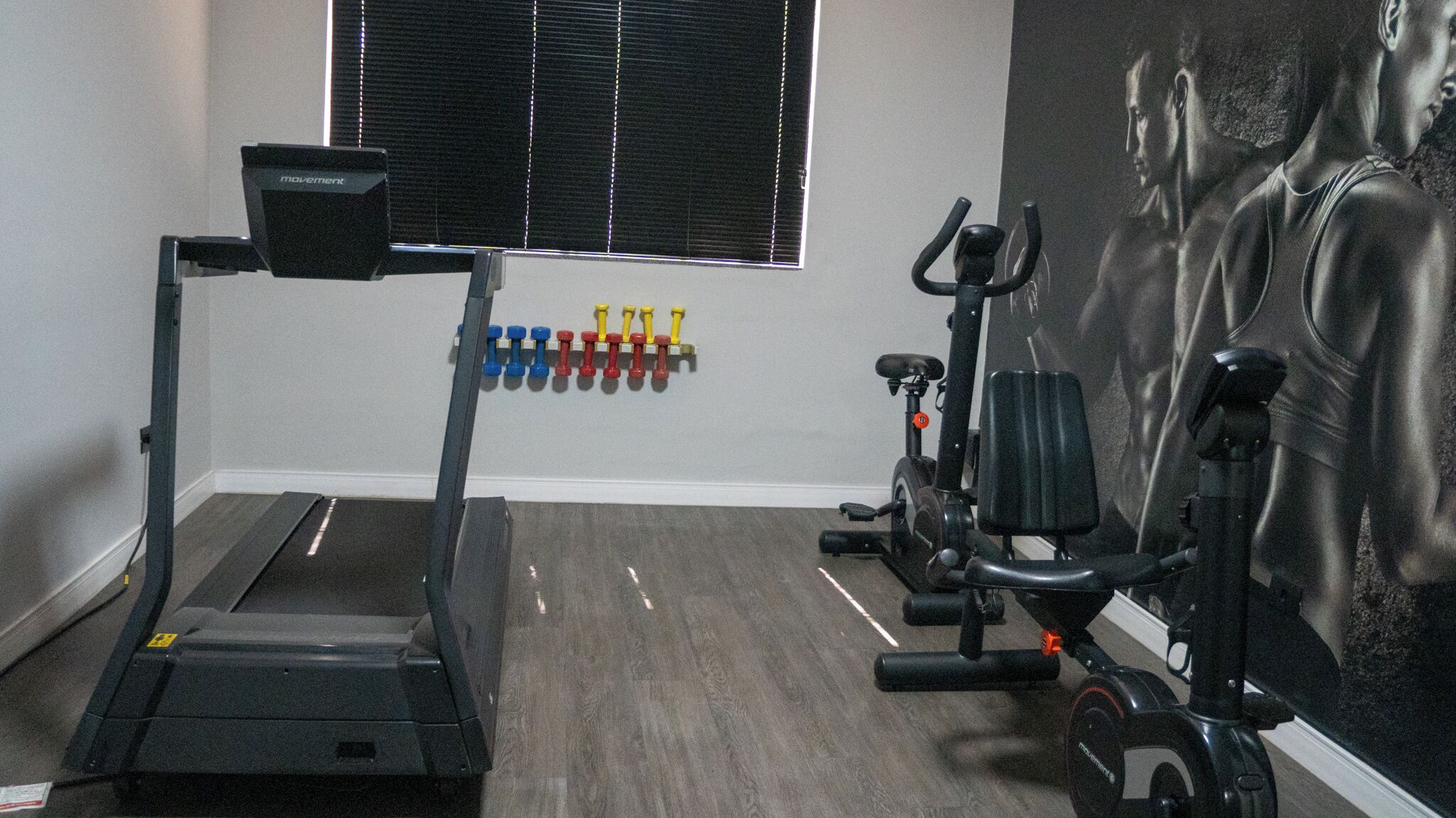 A gym with a treadmill, elliptical, and dumbbells.