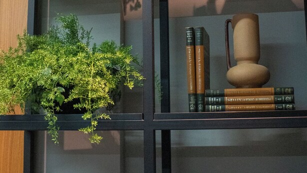 Una estantería con plantas, libros y objetos decorativos.