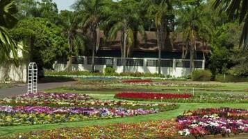 A garden with various flower beds, a white building with windows, and a ladder leaning against the wall.