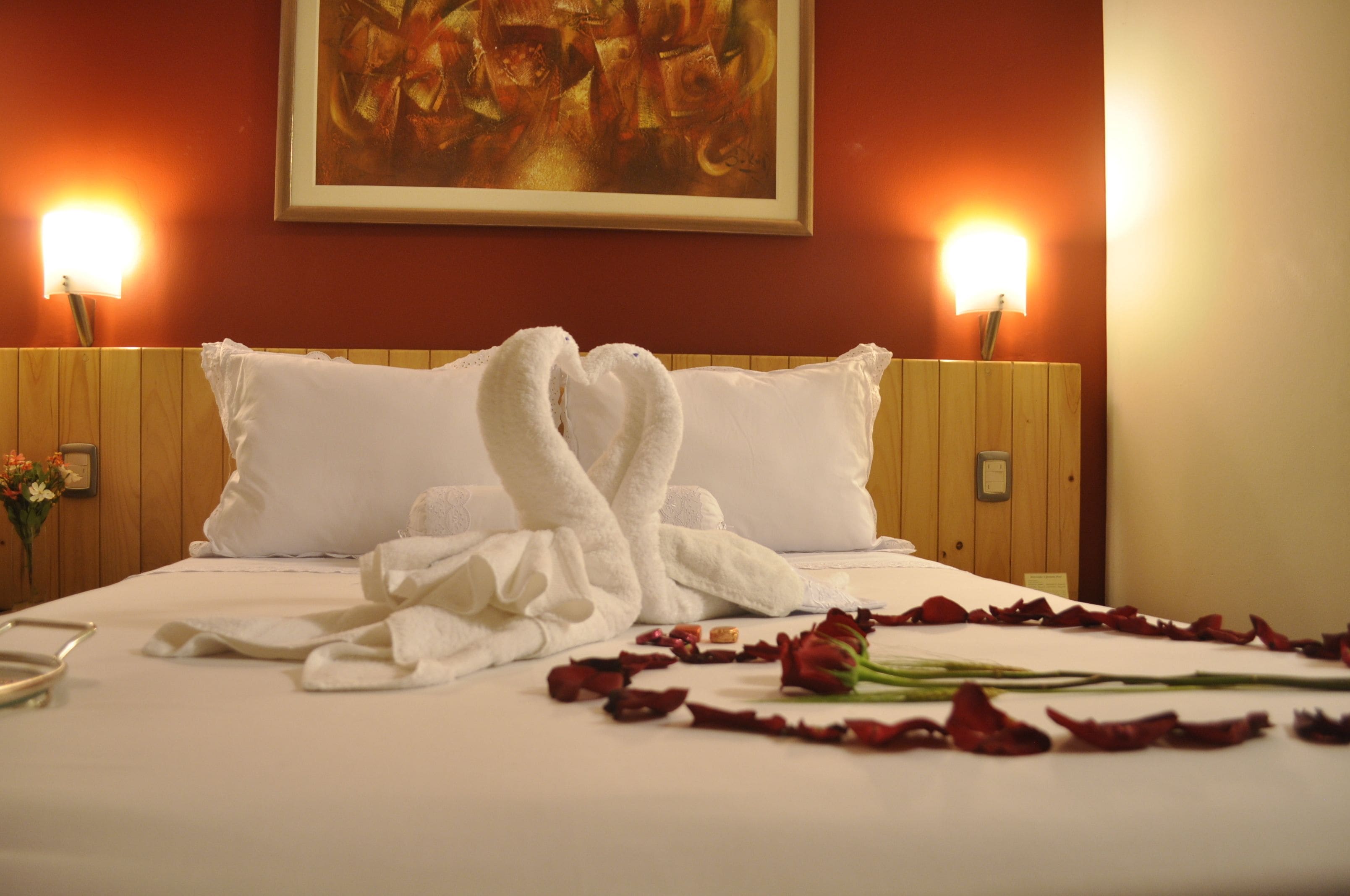 Foto - Qorianka Hotel