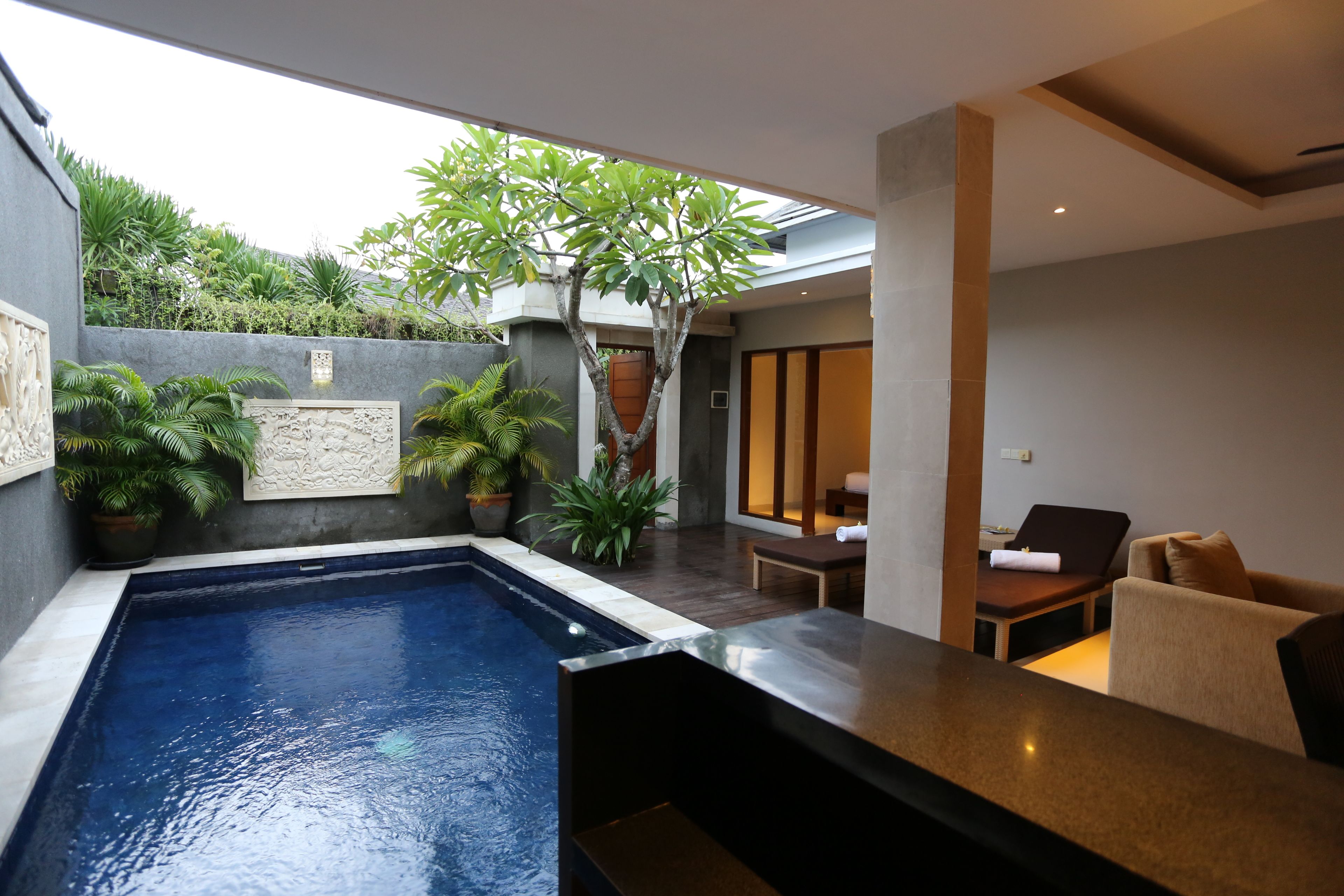 A modern indoor pool area with a rectangular pool, surrounded by potted plants and a seating area with a sofa and a table.