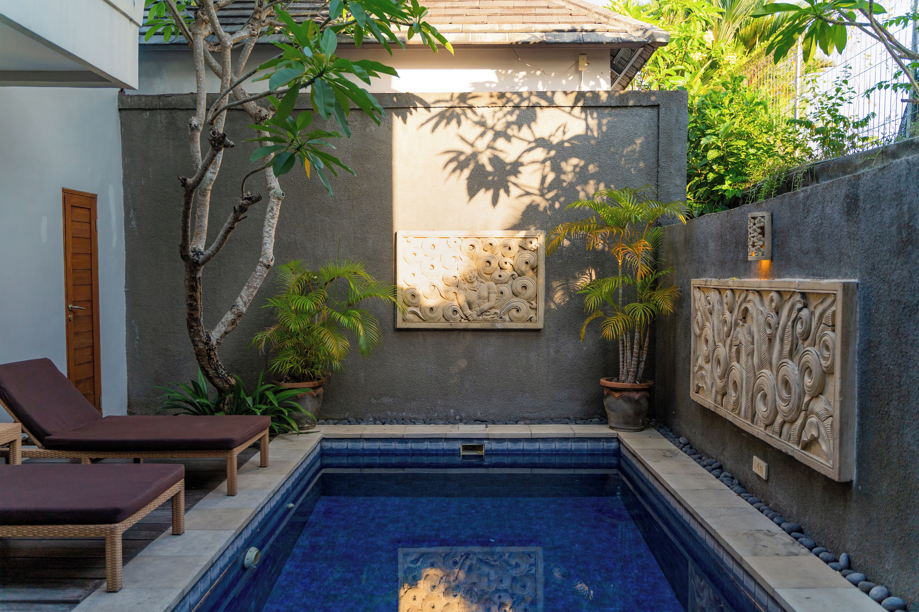 A small outdoor swimming pool with lounge chairs, surrounded by plants and decorative wall art.