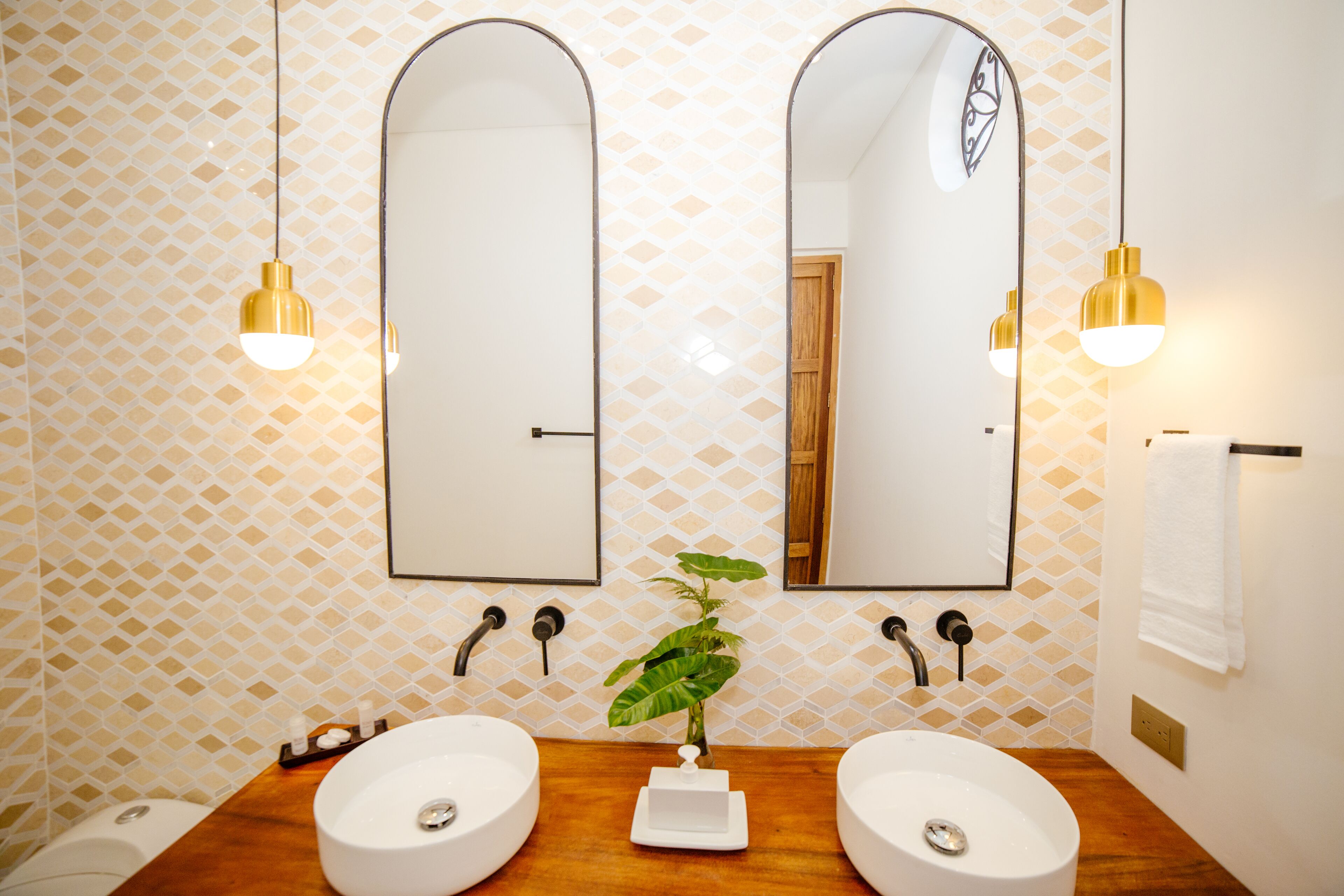 A bathroom with two sinks, a mirror, and a potted plant.