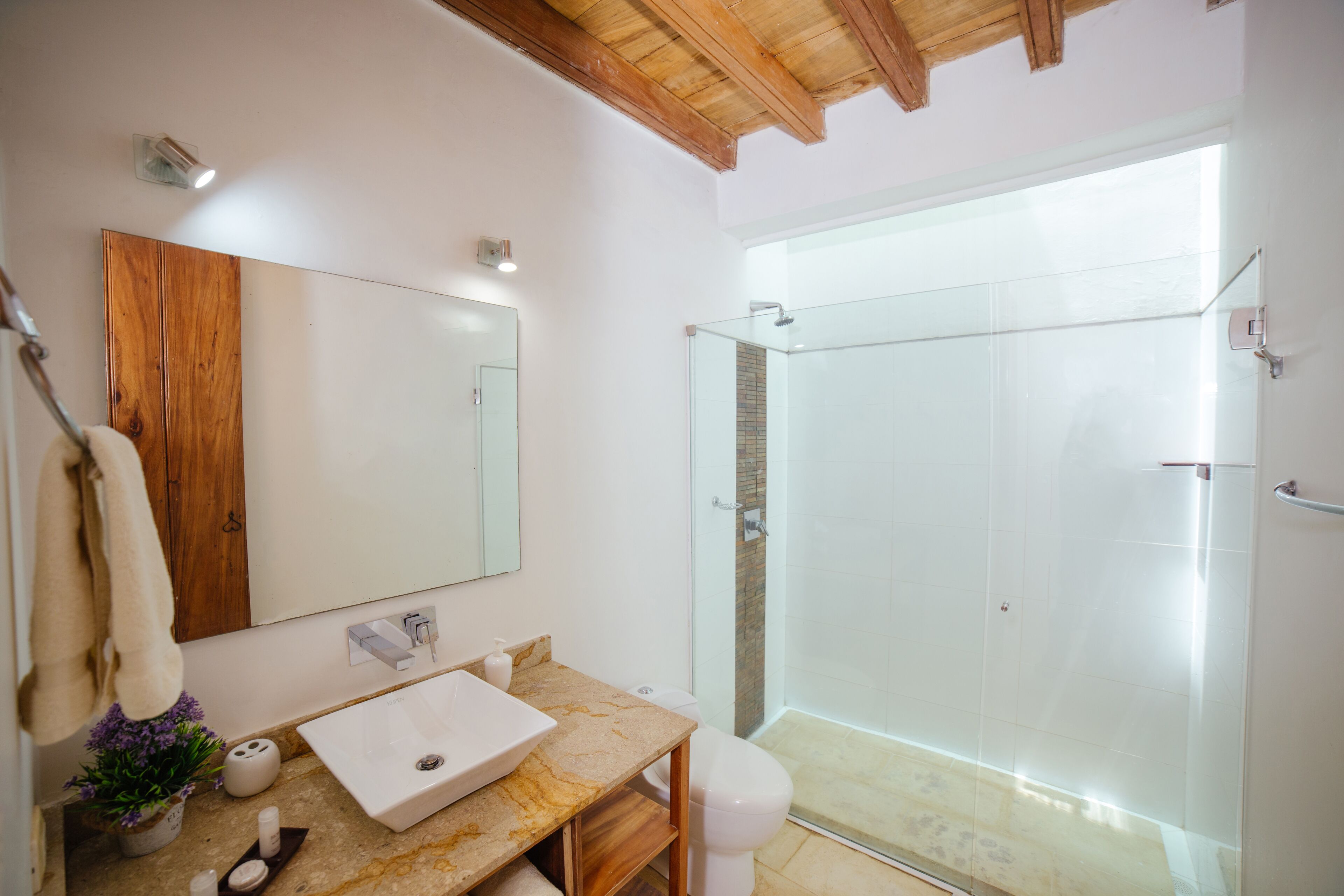 shower, free toiletries, towels, soap