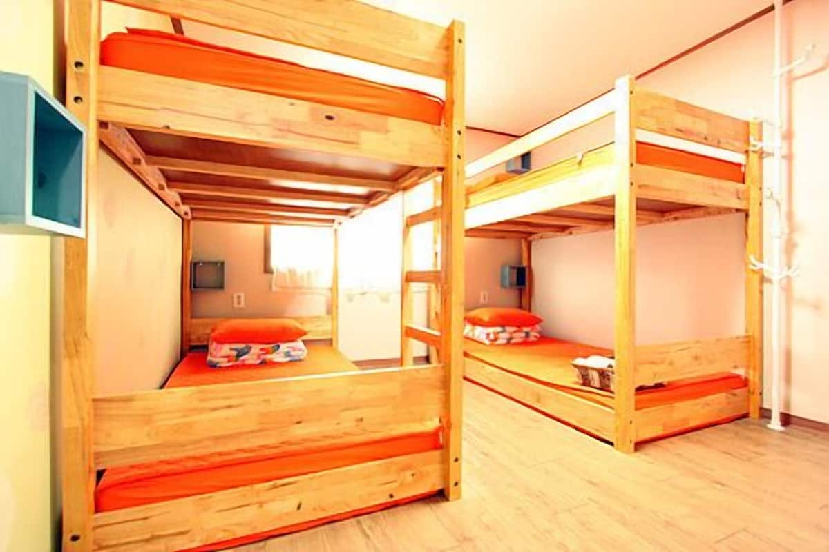 Une chambre avec deux lits superposés, un plancher en bois, une télévision et une fenêtre.