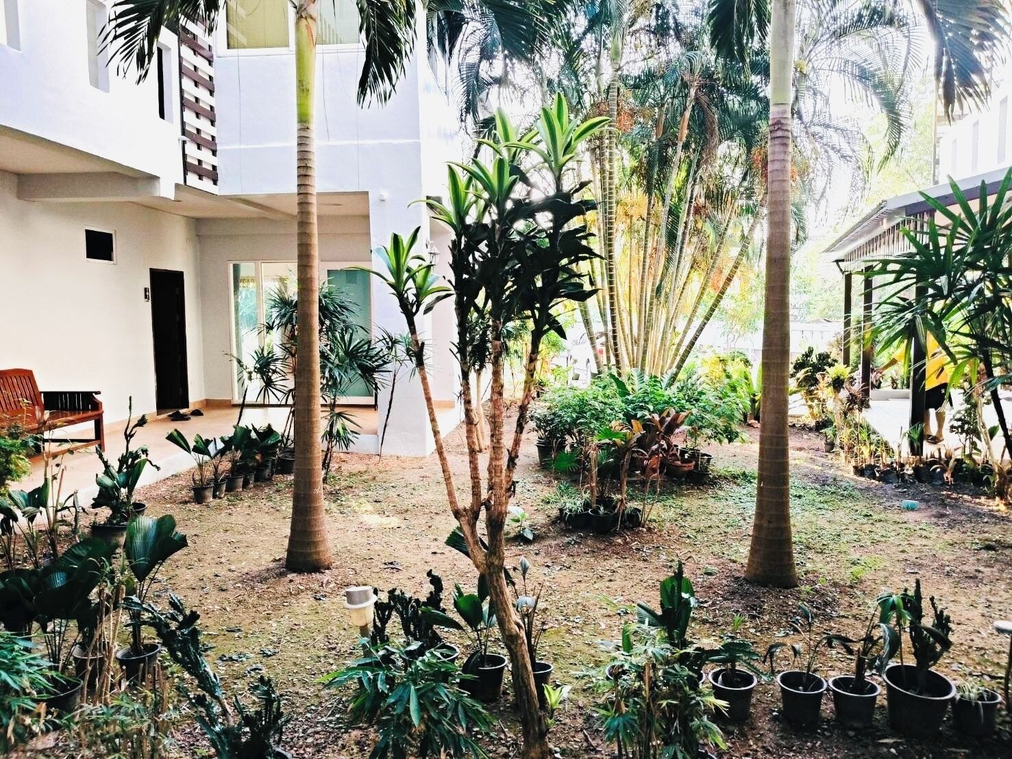 A courtyard with various potted plants and trees, a bench, and a building with large windows.