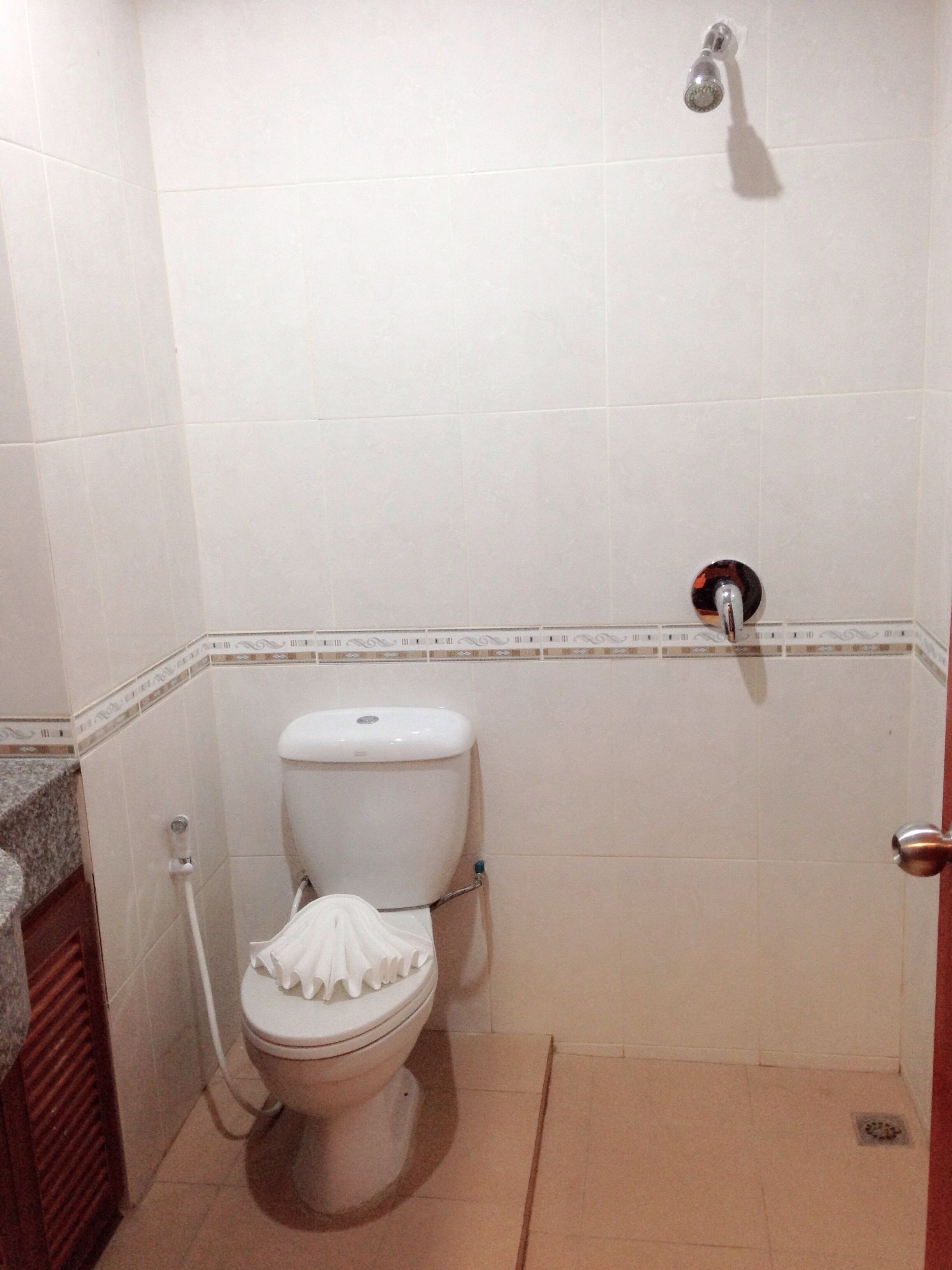 A bathroom with a toilet, a shower, and a sink.
