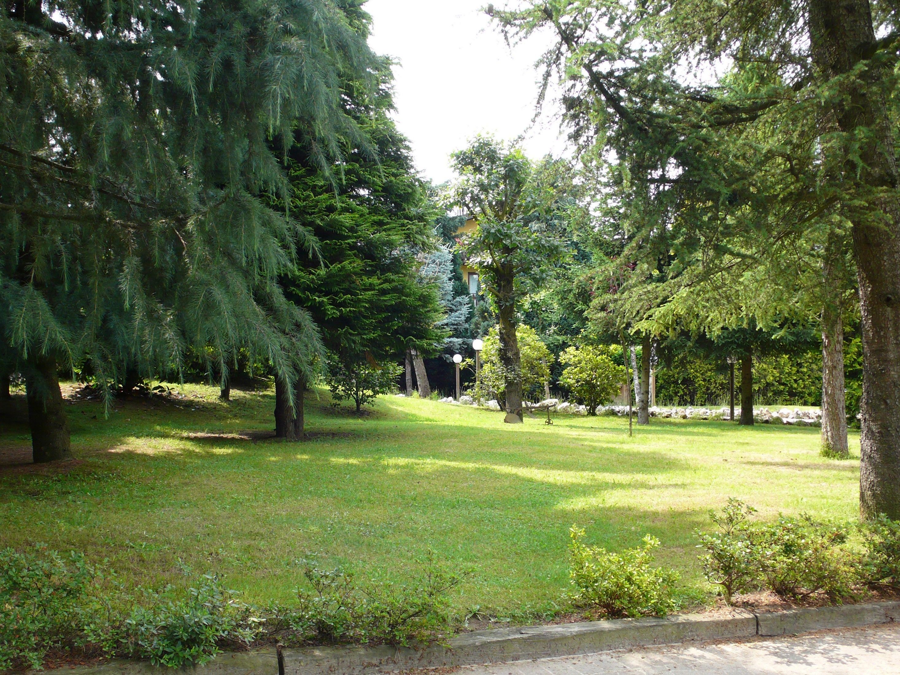 Un parque con varios árboles y un césped bien cuidado.