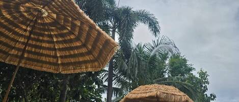 A pool area with yellow lounge chairs and thatched umbrellas, surrounded by palm trees and a building in the background.