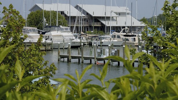 A marina with boats docked at wooden piers, surrounded by greenery. - Knapps Narrows Marina & Inn (Sherwood)