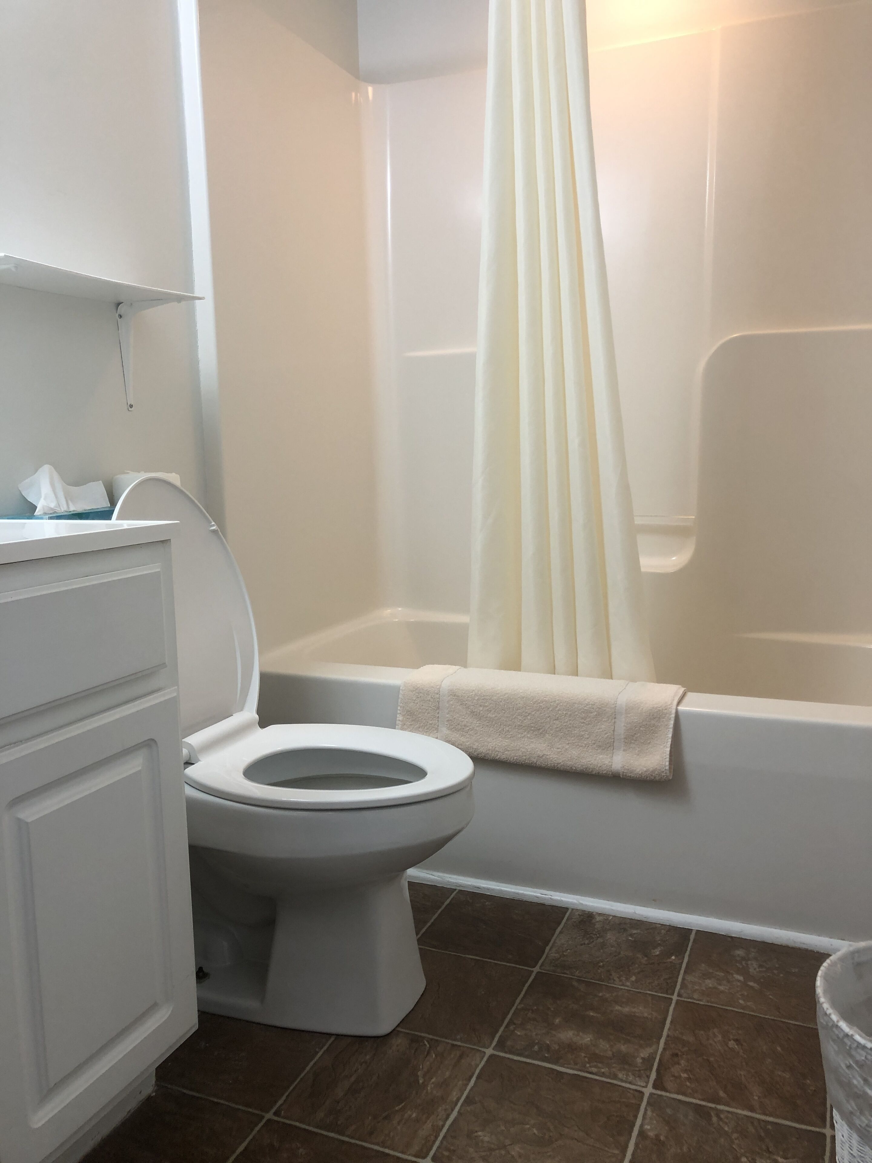 combined shower/bathtub, free toiletries, hair dryer, towels