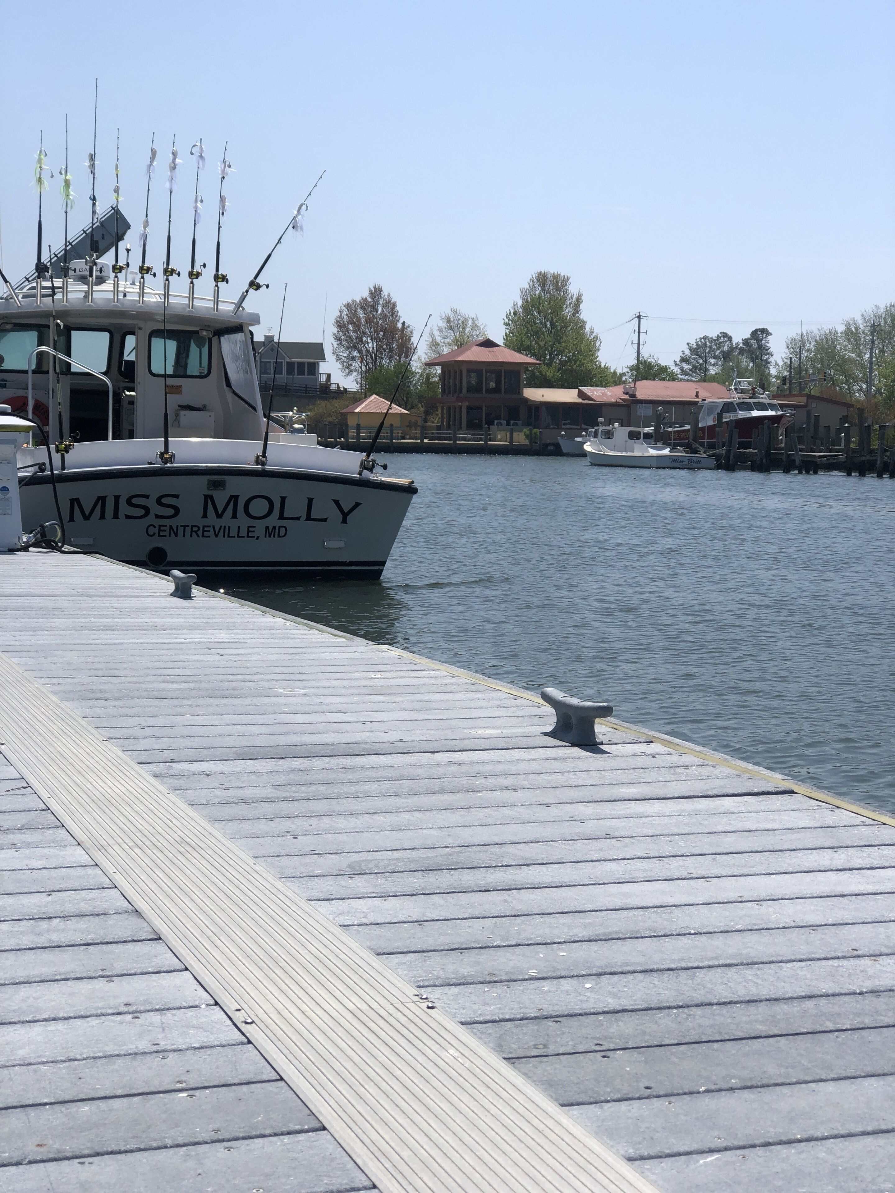 Ein Steg mit einem Boot namens 'Miss Molly' aus Centreville, MD.