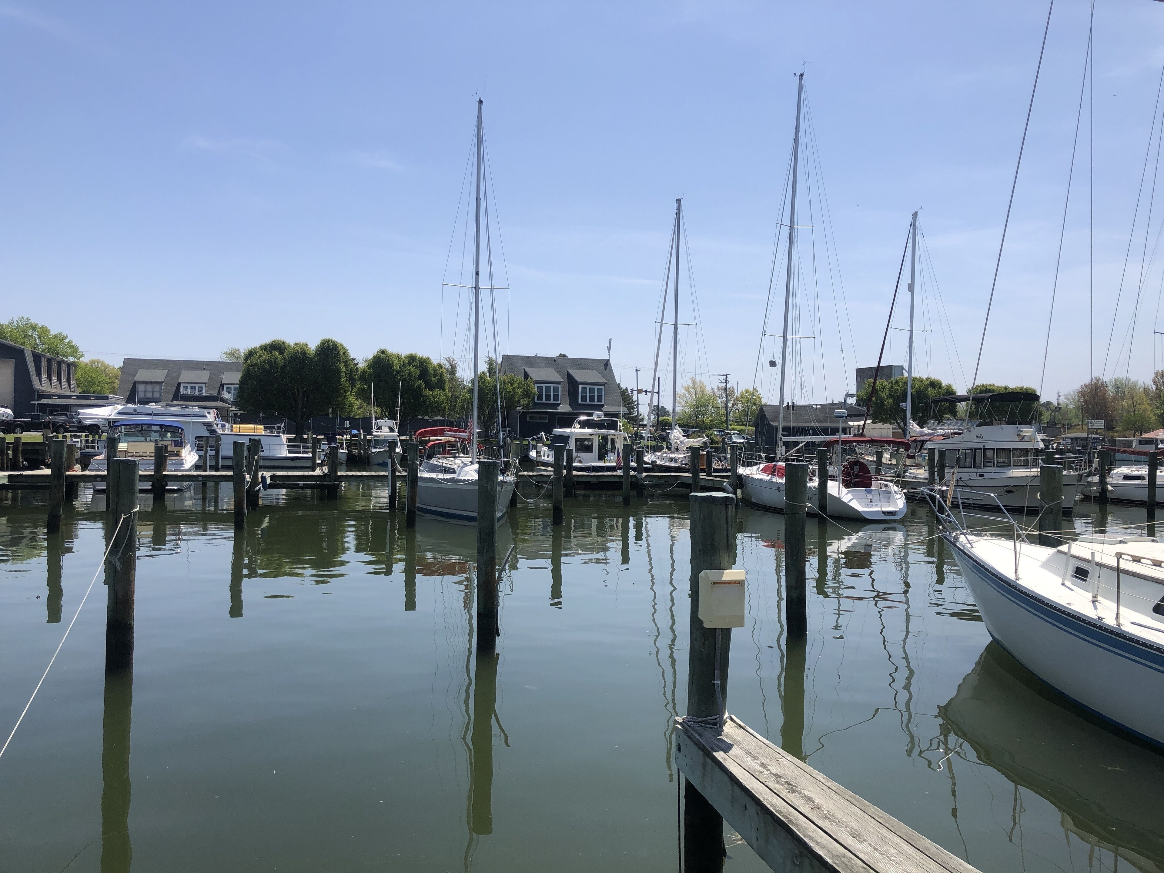 A marina with boats docked at wooden piers, surrounded by residential buildings and trees.