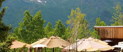Café da manhã, almoço e jantar; culinária americana