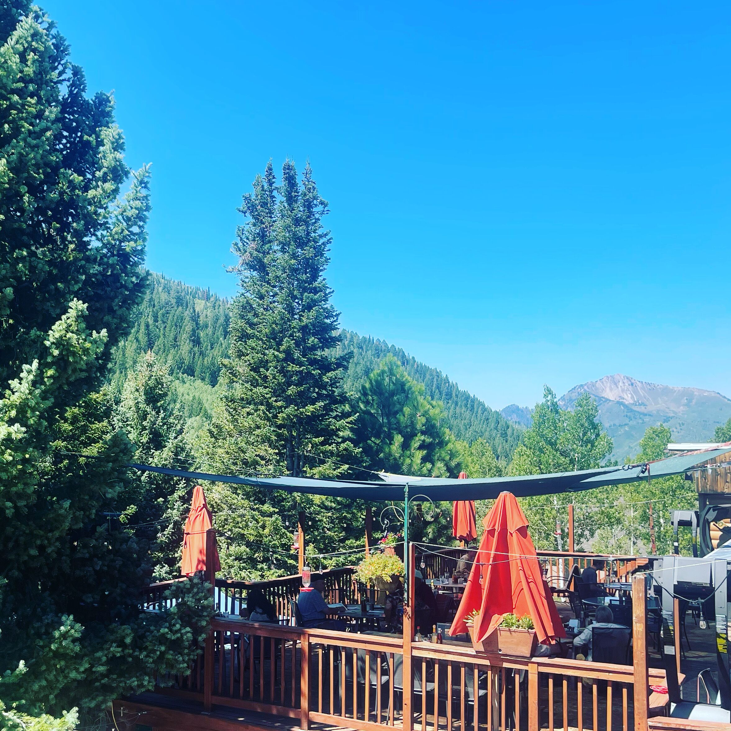 Silver Fork Lodge & Restaurant Reviews, Deals & Photos 2025